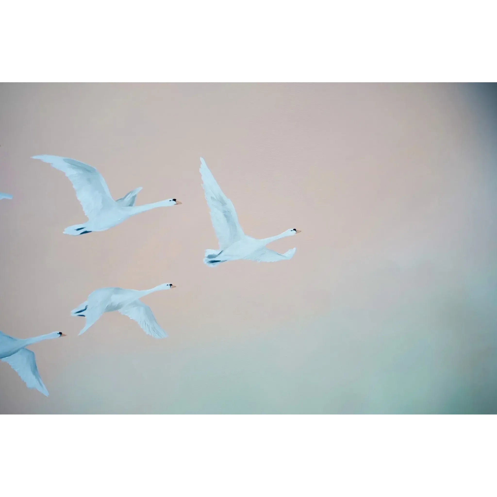 Fly Free, Spring Time