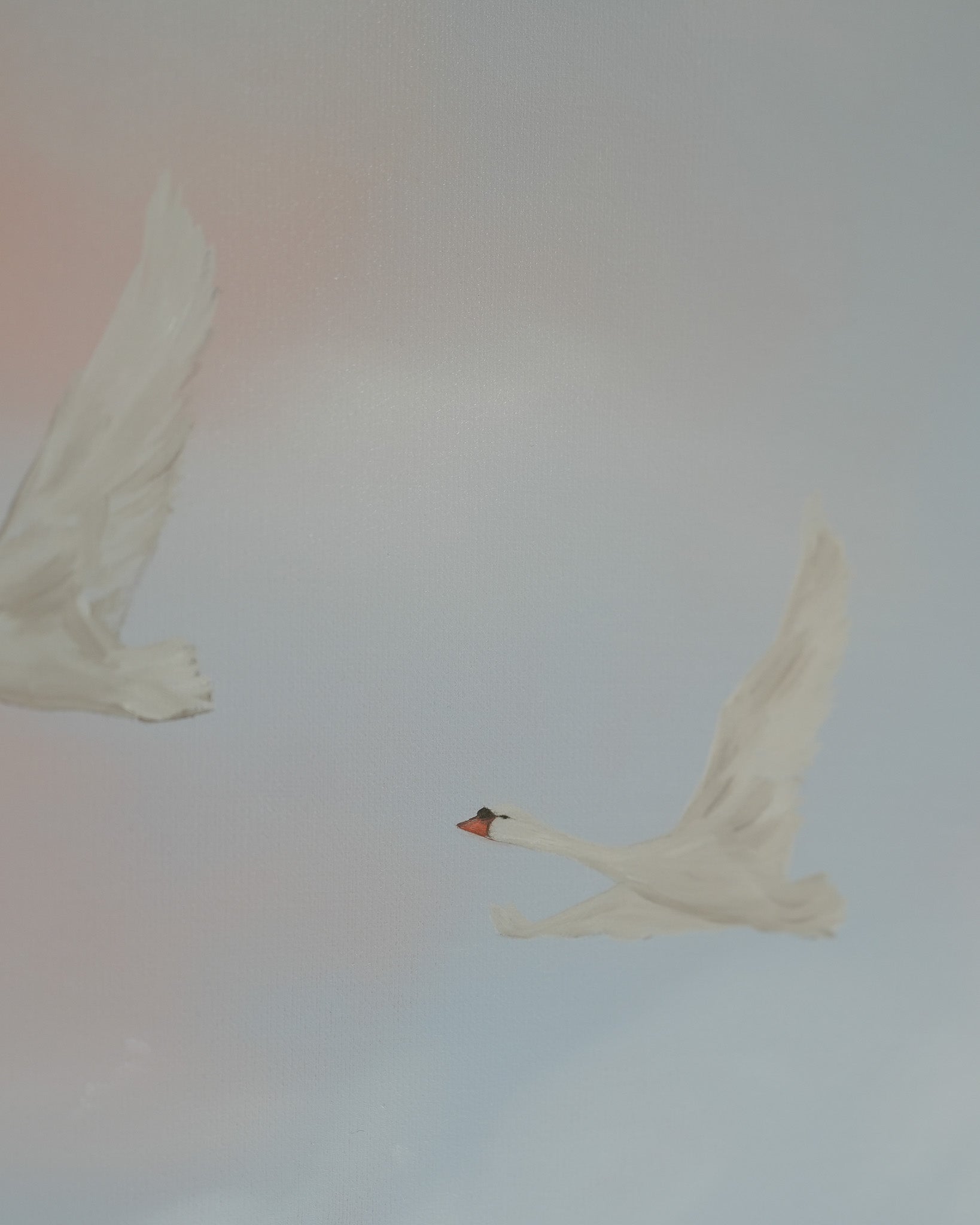 Sky Stories, Soft Days