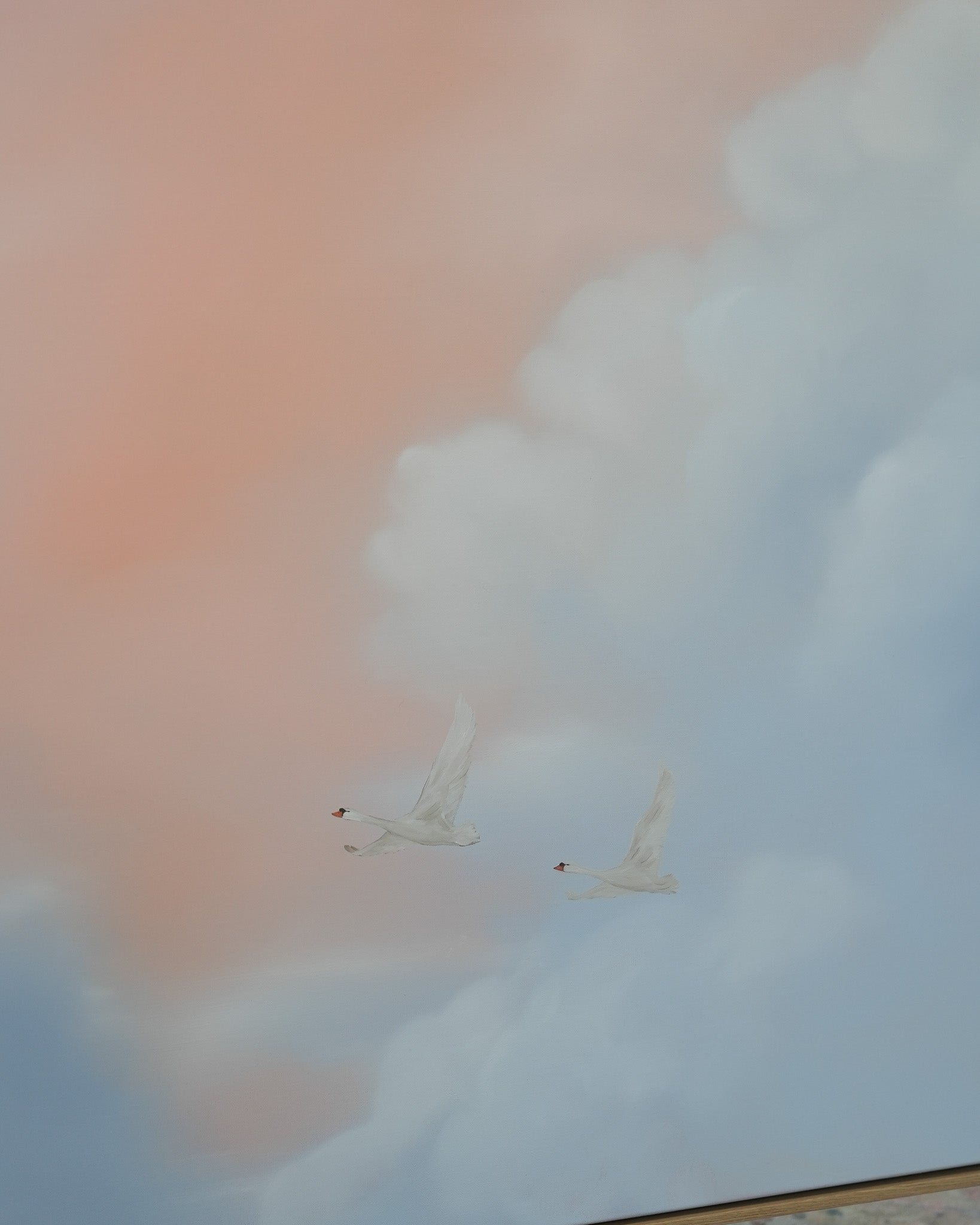 Sky Stories, Soft Days