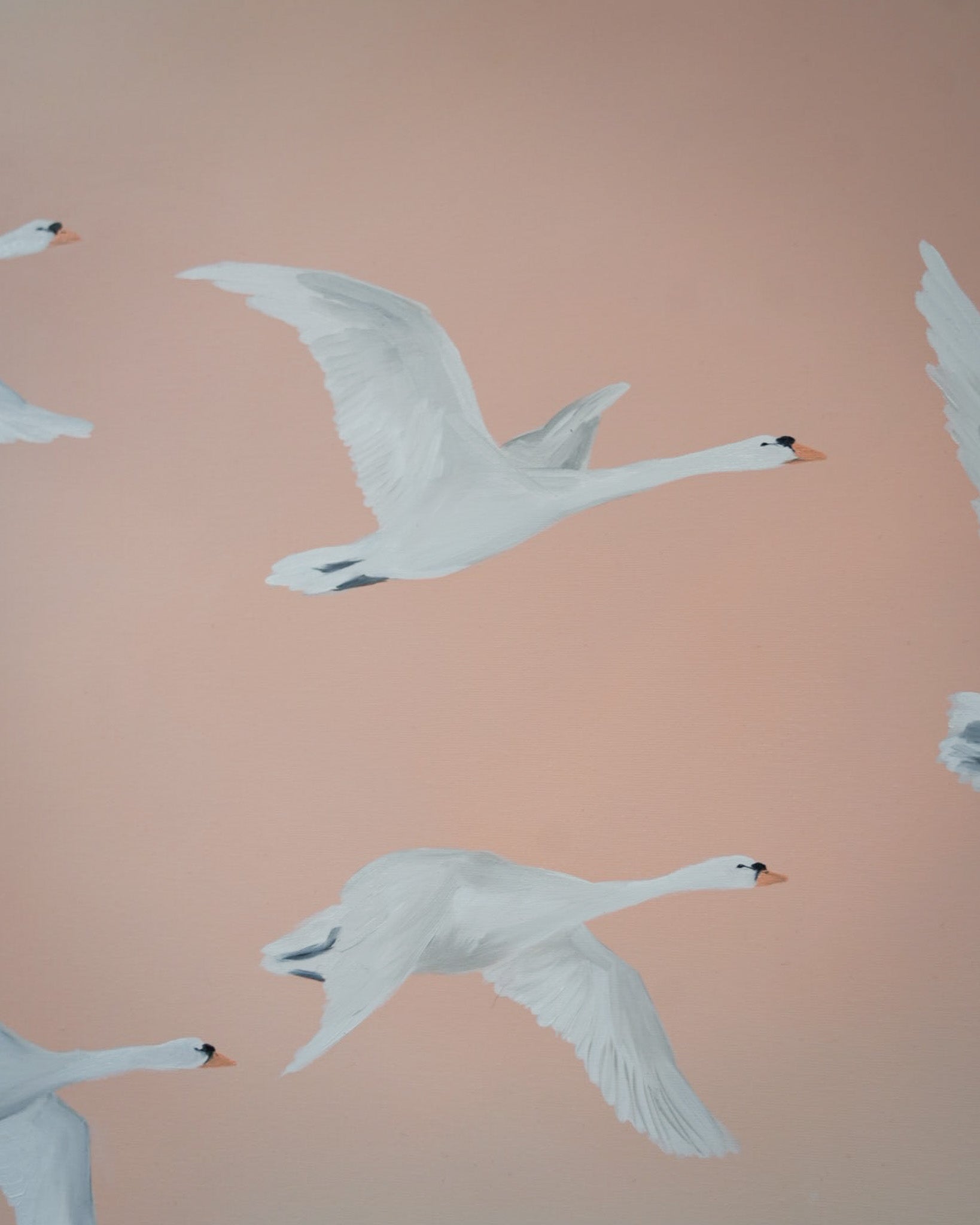 Fly Free, Spring Time