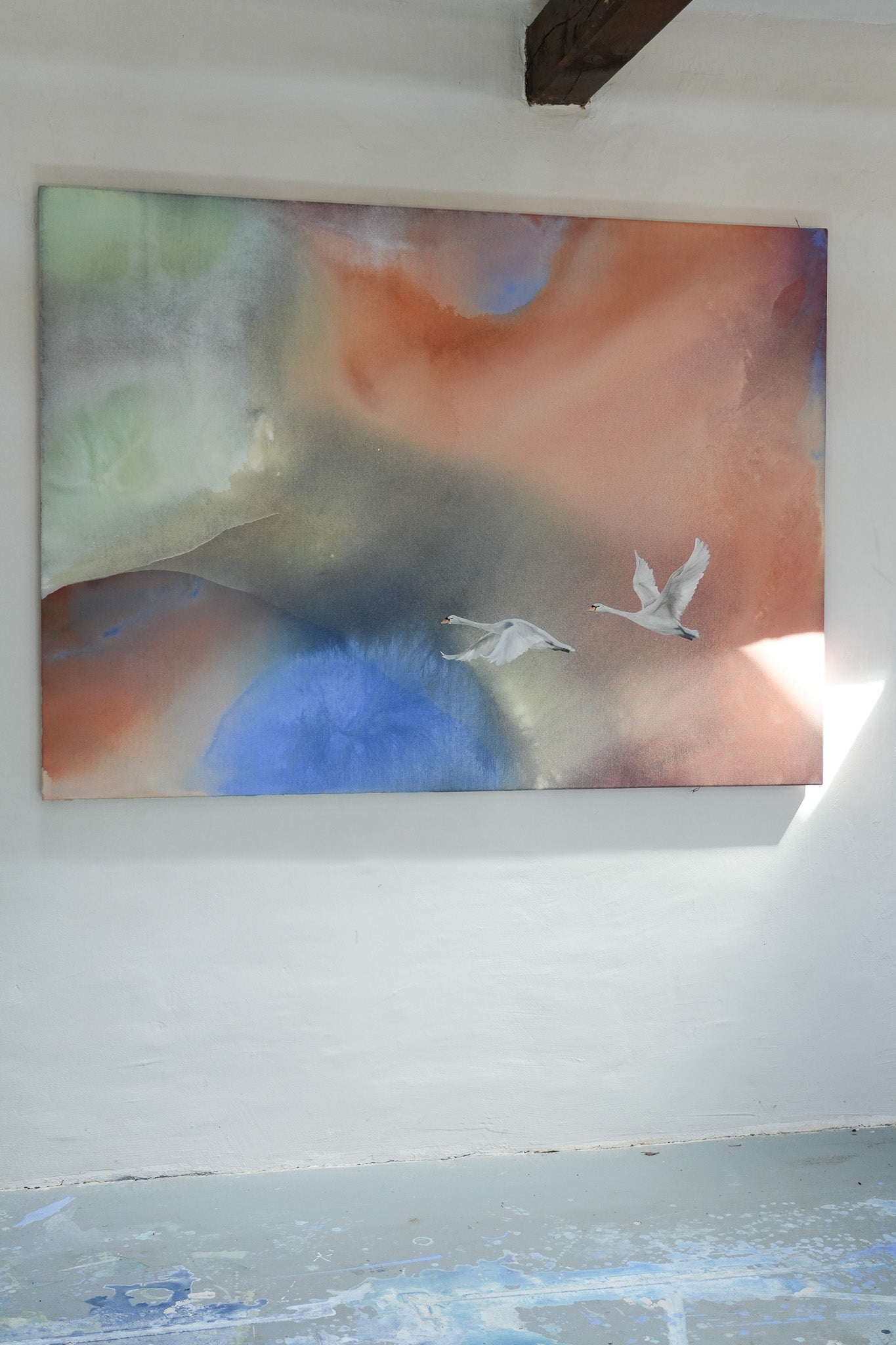 Soft colors, Soft Life