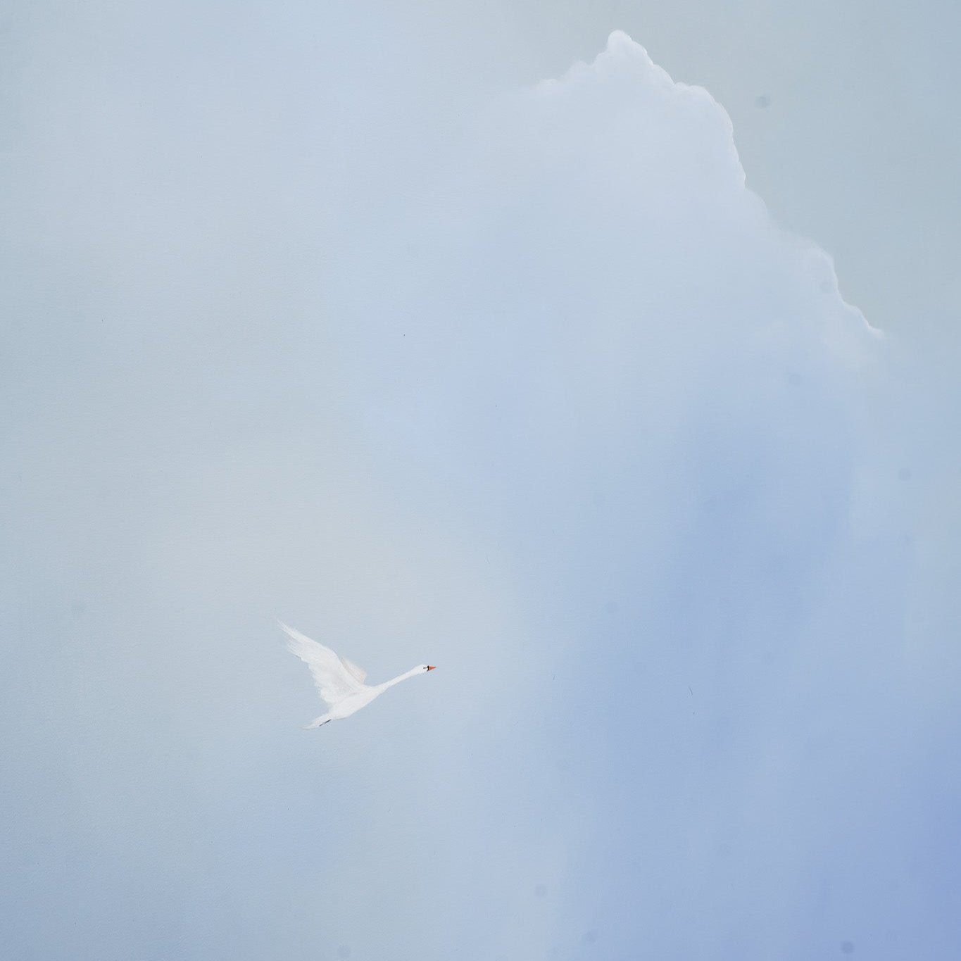 Sky Of Hope (SOLD) Malene Georgsen