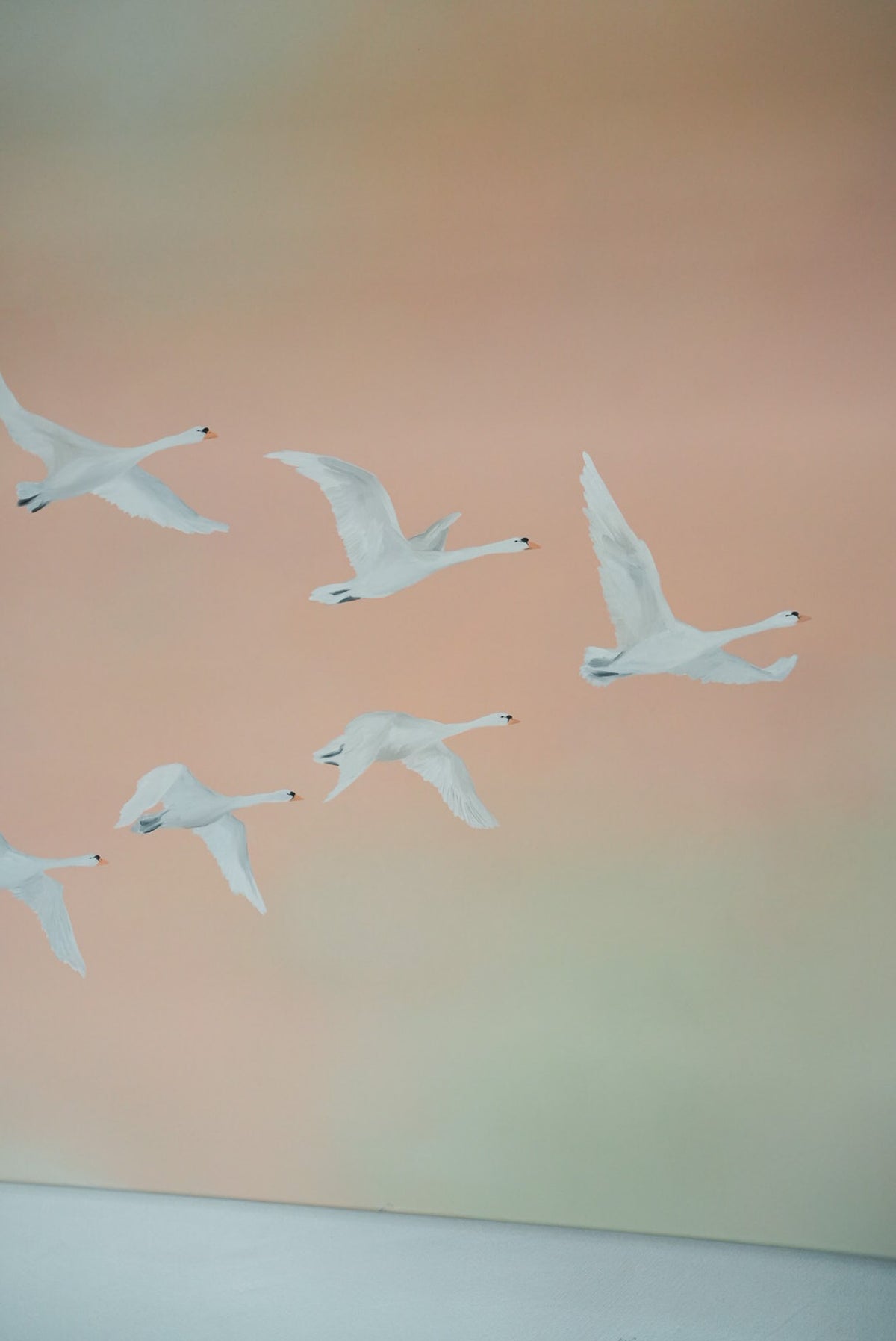 Fly Free, Spring Time