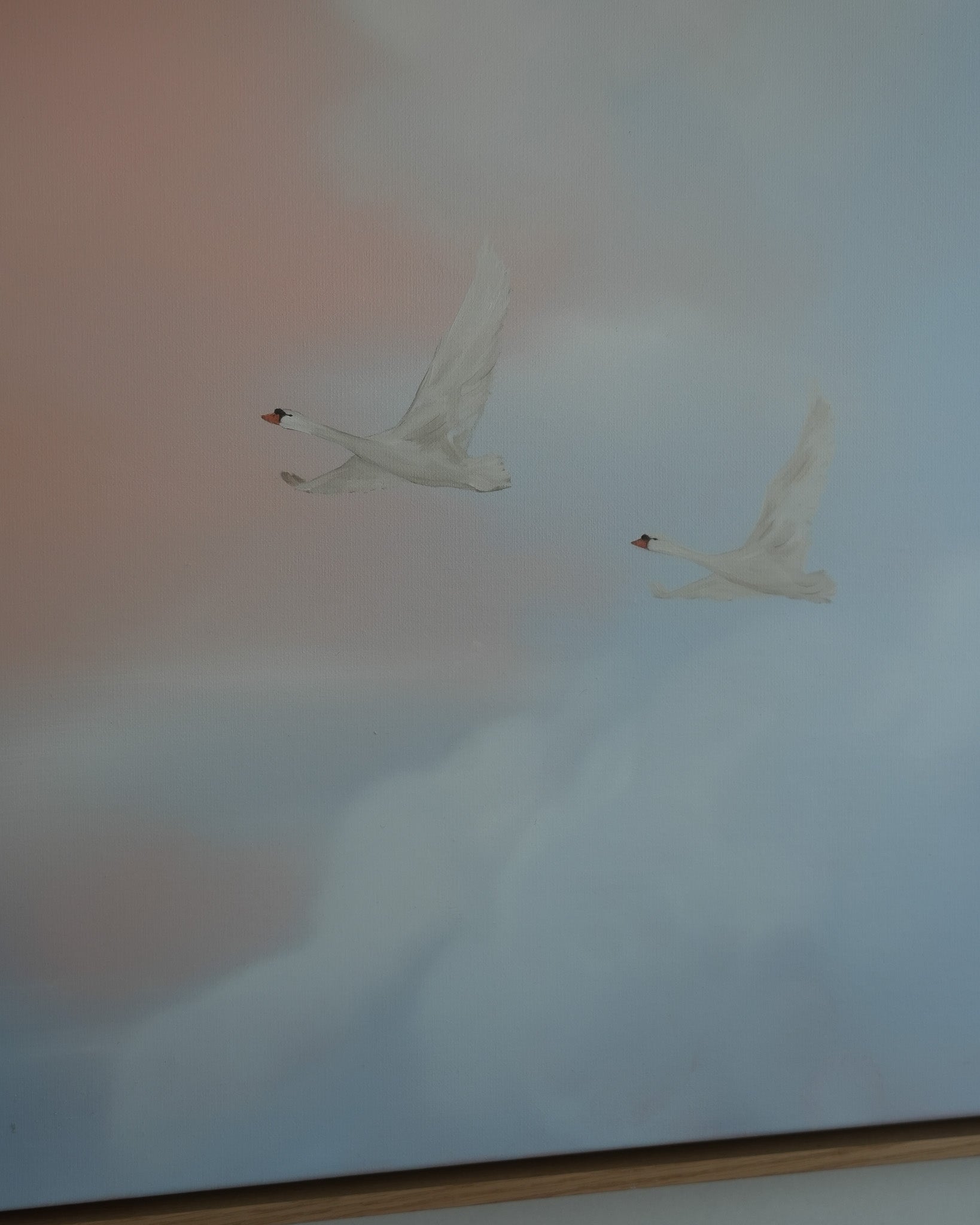 Sky Stories, Soft Days