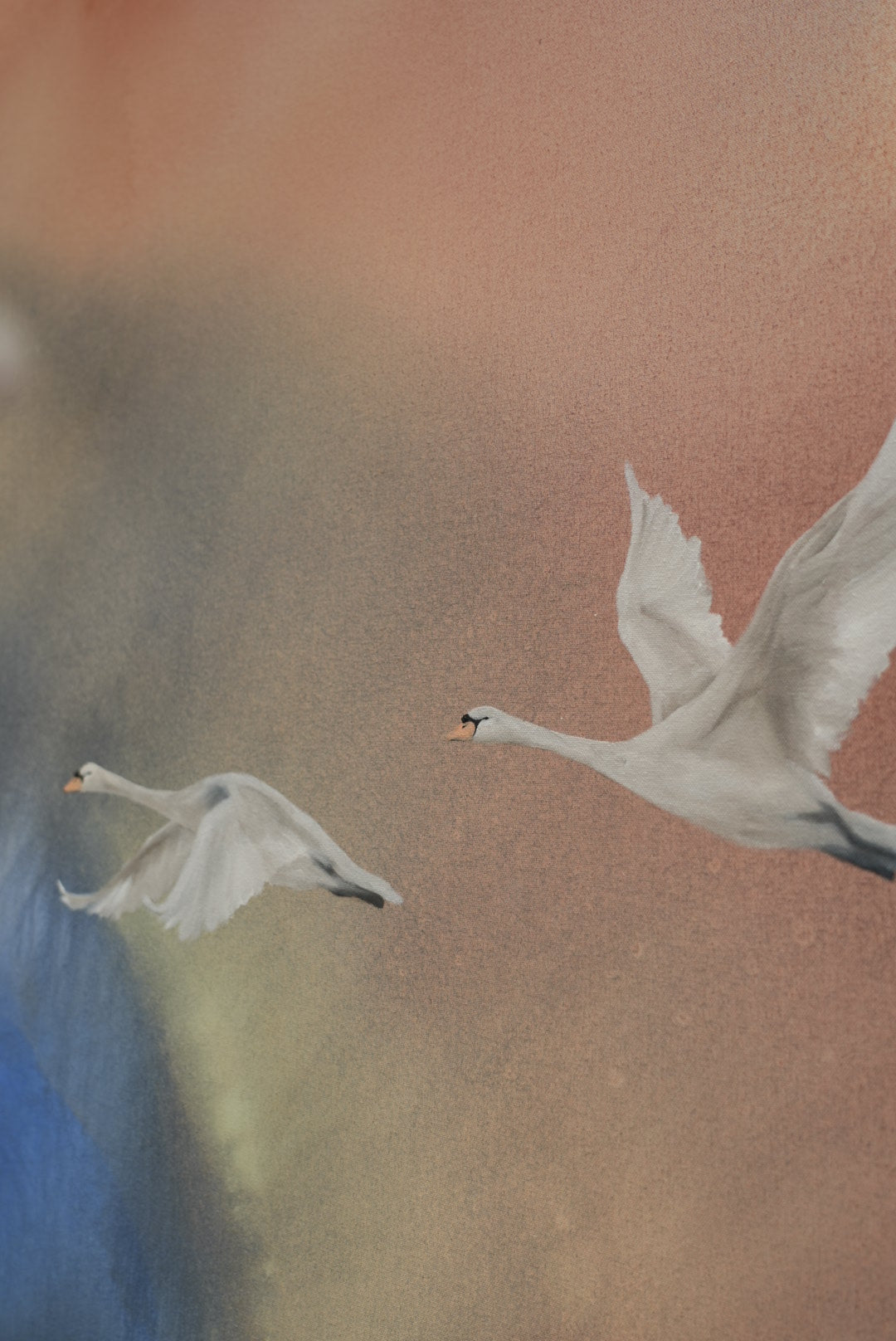 Soft colors, Soft Life