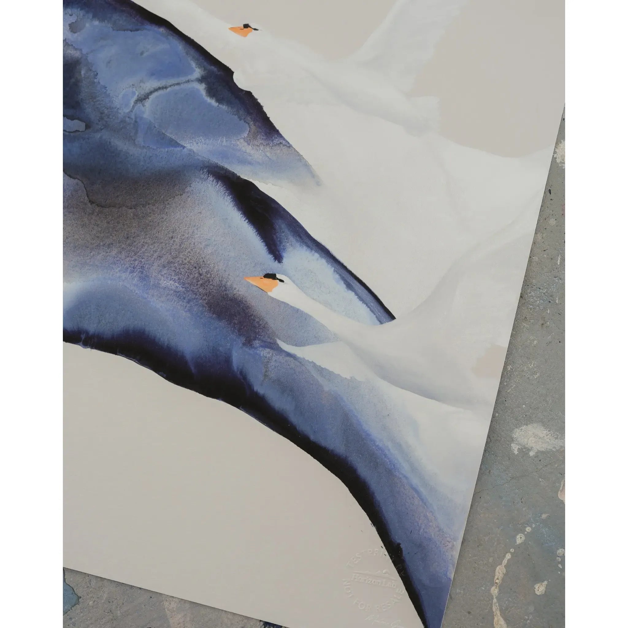 Evolve, Kunsttryk Malene Georgsen