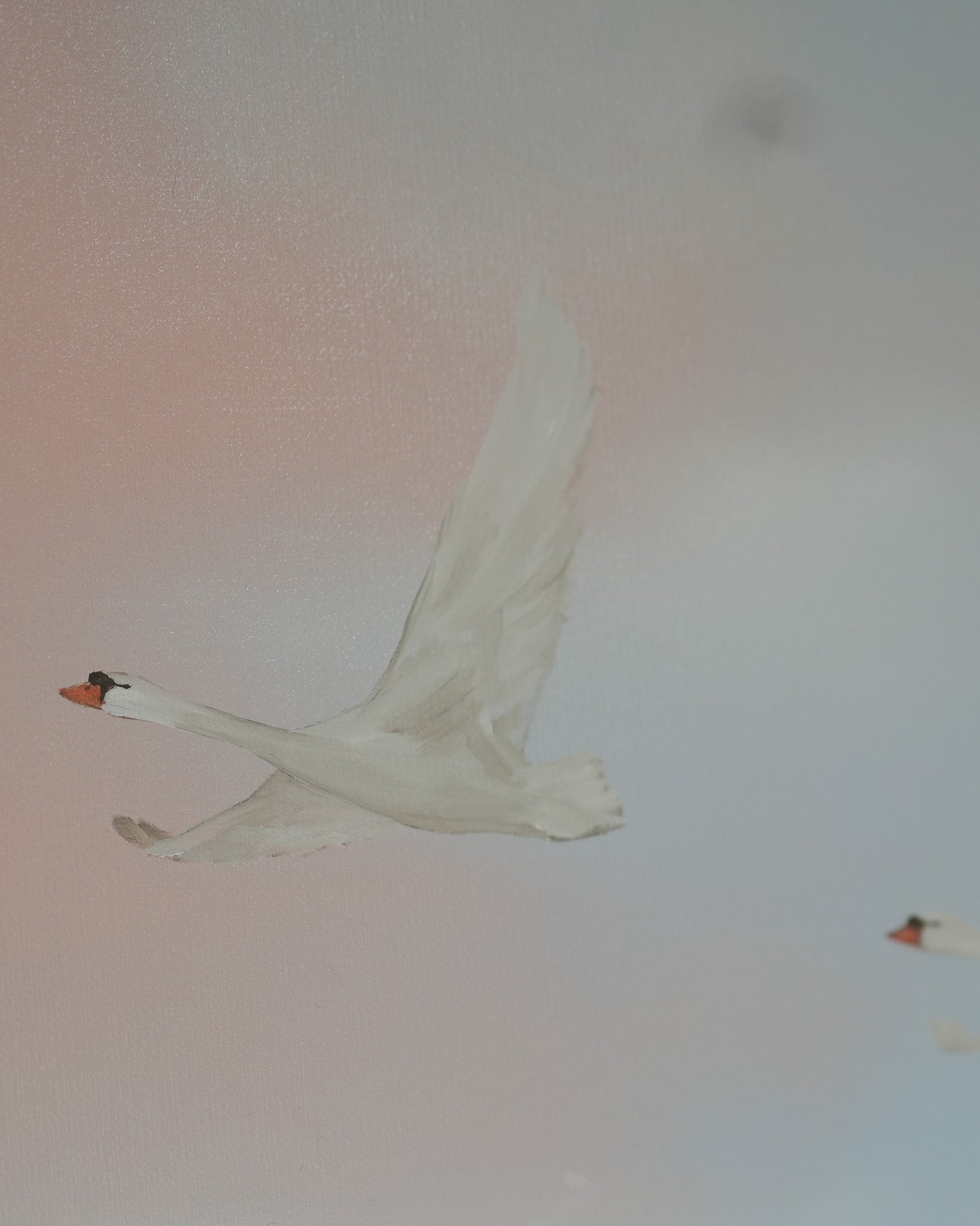 Sky Stories, Soft Days