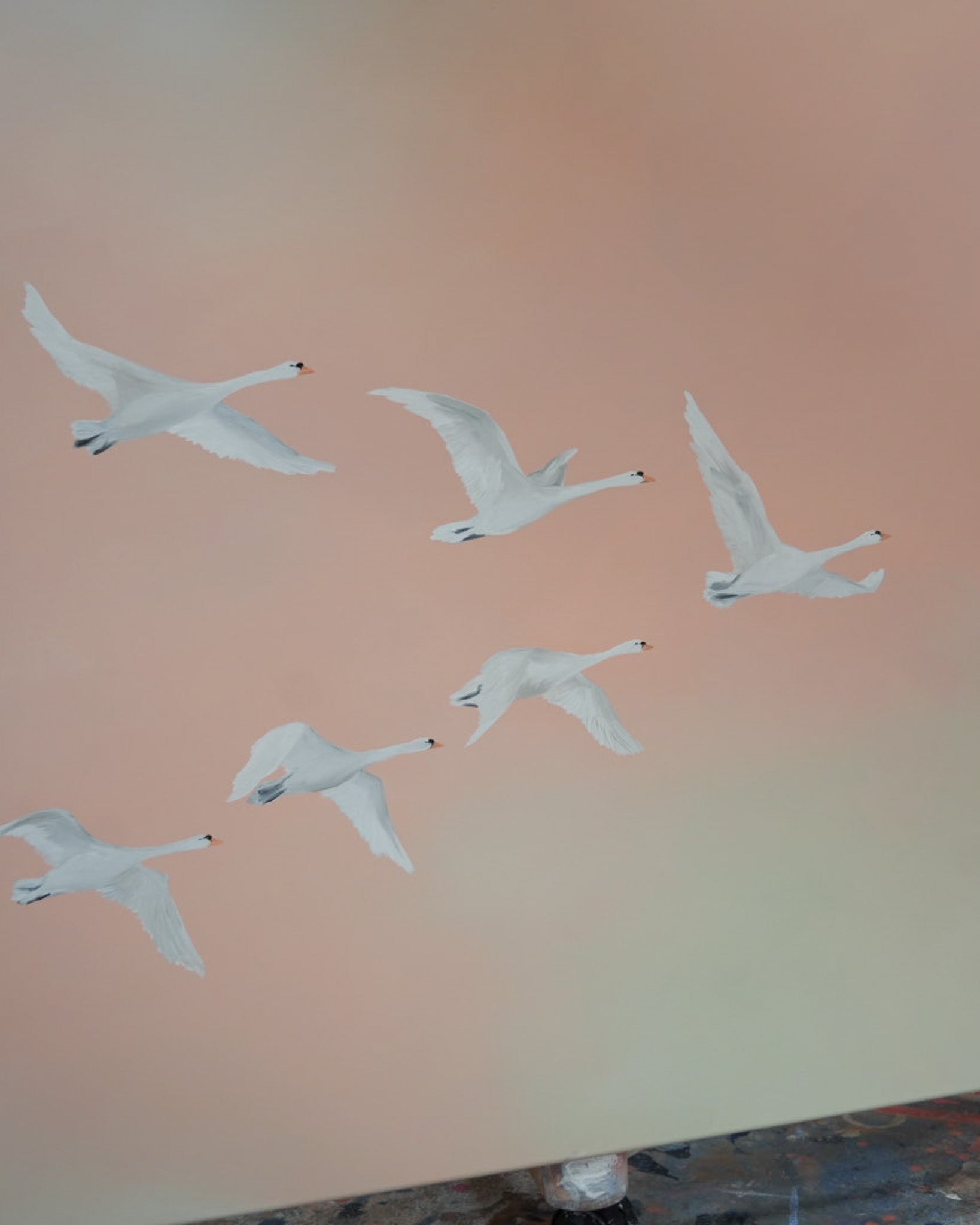 Fly Free, Spring Time