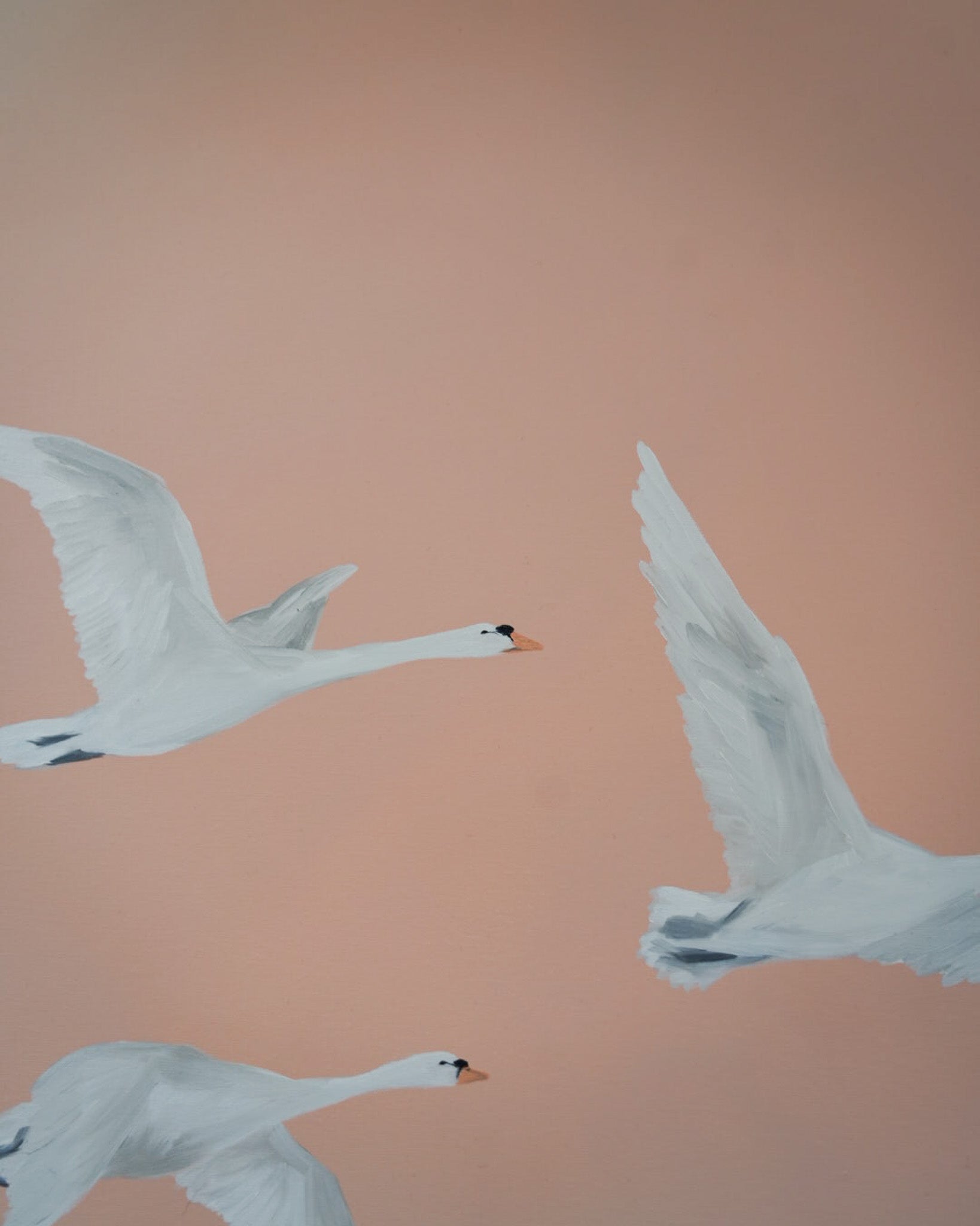 Fly Free, Spring Time