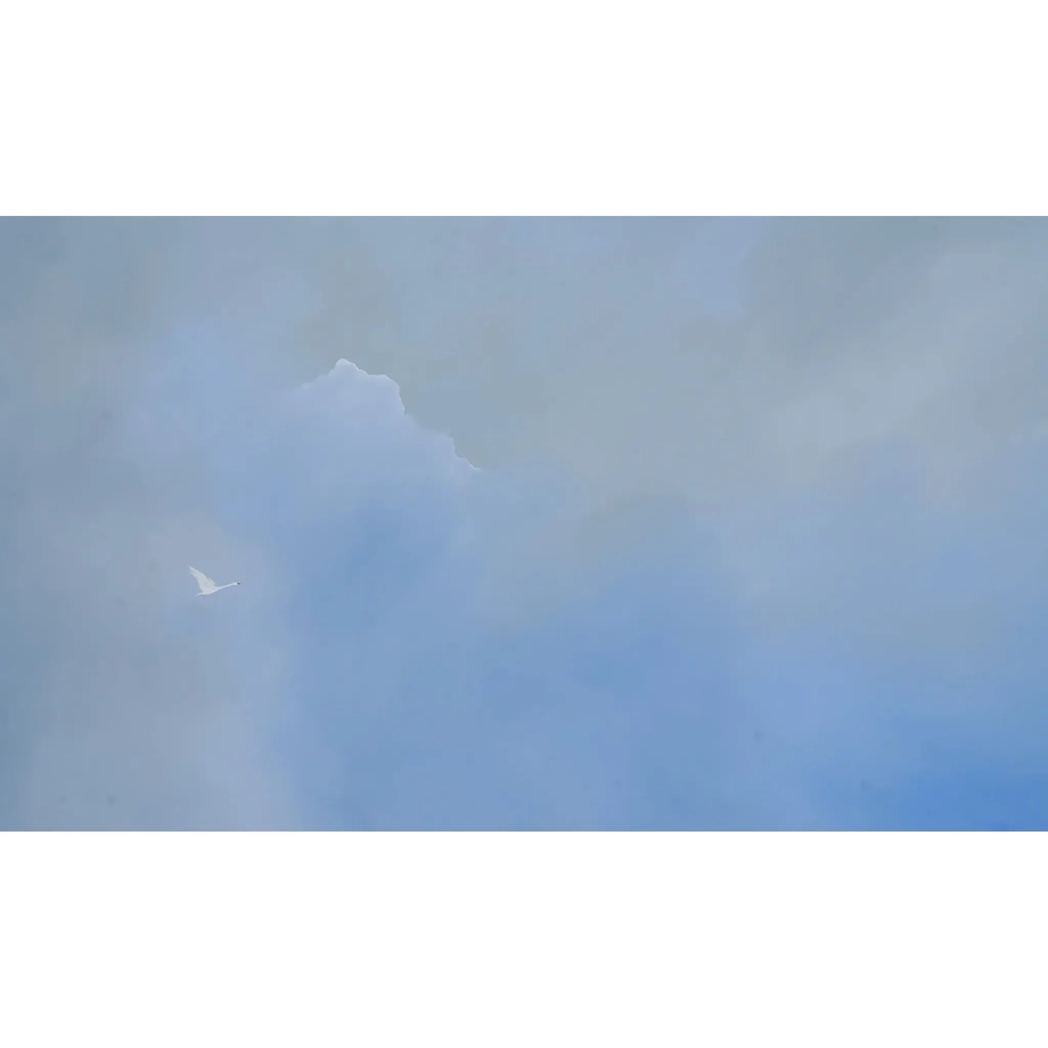 Sky Of Hope (SOLD) Malene Georgsen